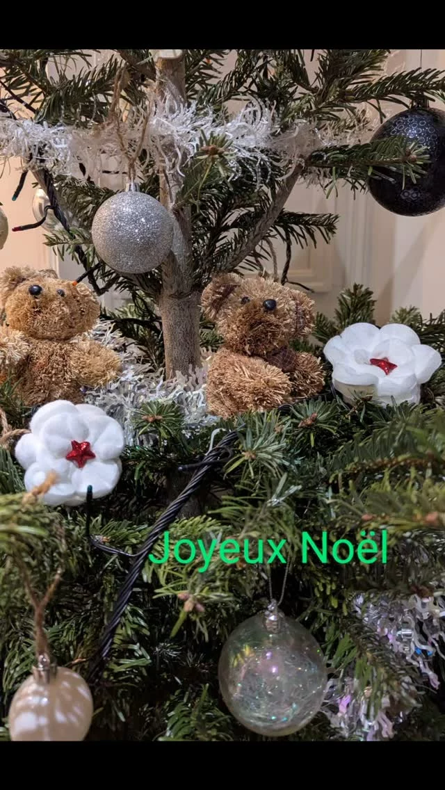 De belles fêtes à vous tous. On se retrouve l'année prochaine 😉