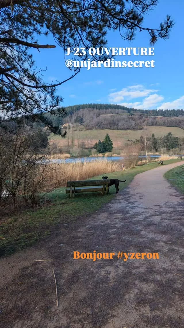 #montsdulyonnaistourisme #chambredhotes #lyonnais #campagnechic #canecorso On attend le printemps avec mado, on Bricole et on se prépare pour vous ré accueillir. Et vous que faites vous ?